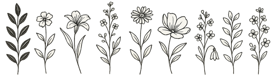 区切り線（花）