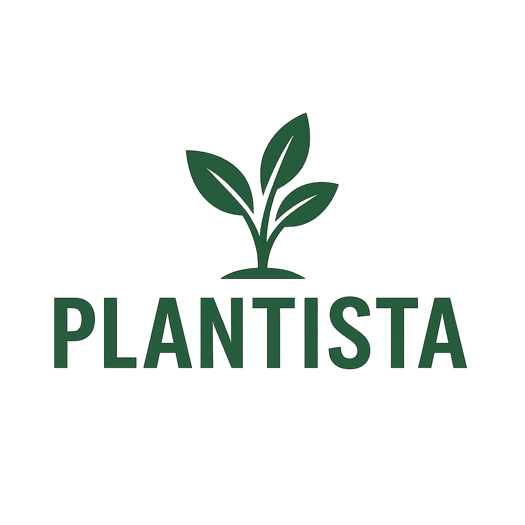 PLANTISTA