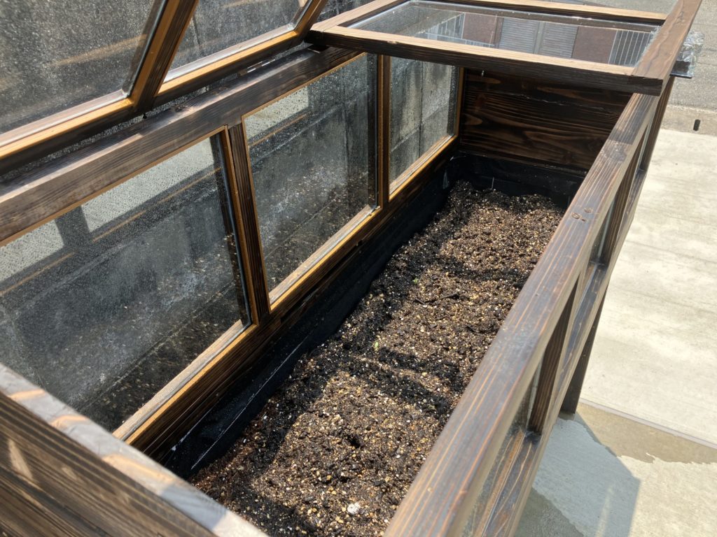 プランターの中身