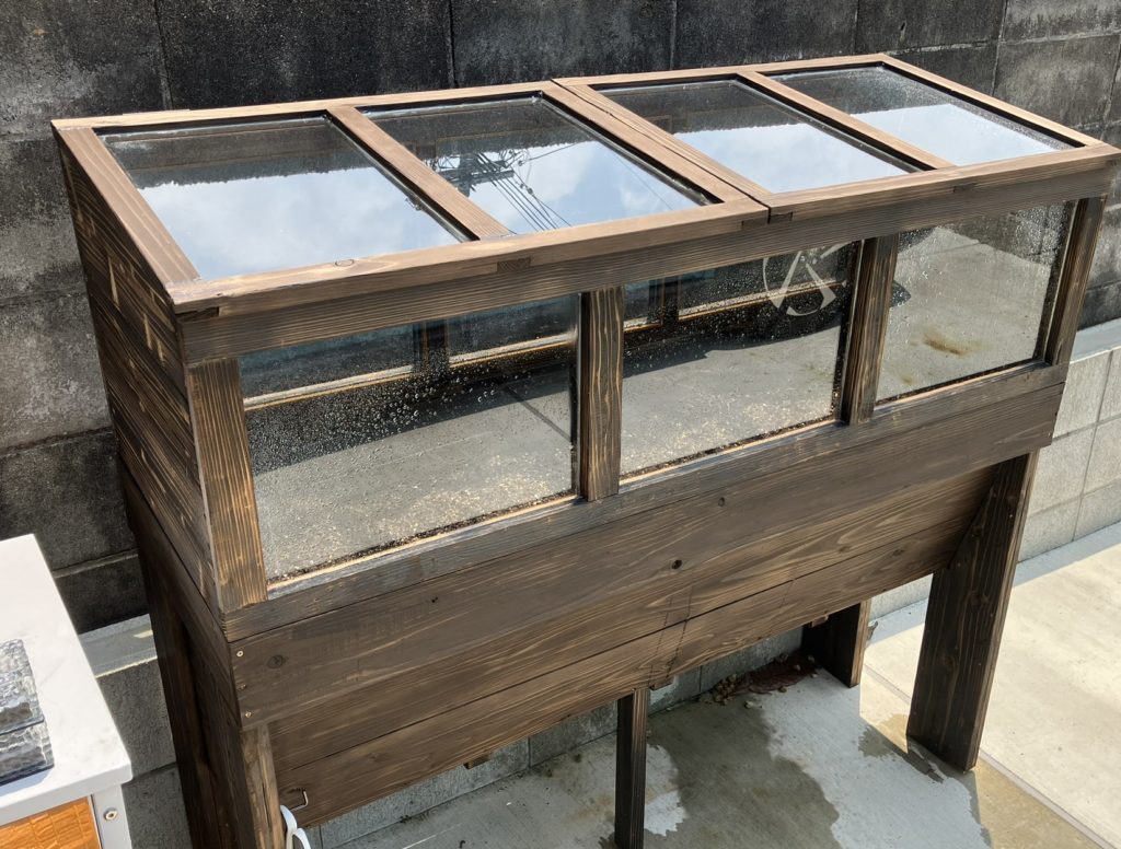 根菜をそだてられる深型プランター｜担当者独自撮影