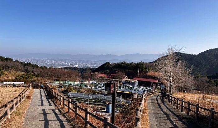 シェア畑の雰囲気