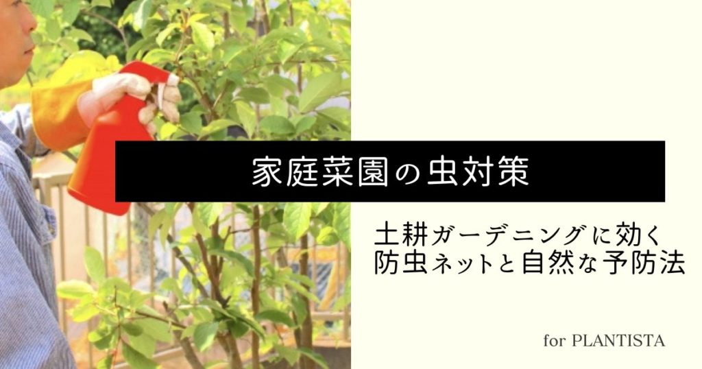 土耕栽培の害虫対策