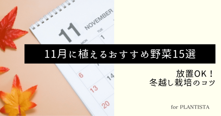 11月家庭菜園おすすめのアイキャッチ