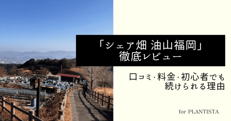 シェア畑油山福岡レビュー